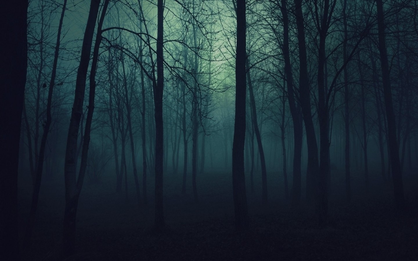 Nature Trees Dark Forests Fog Mist Gloomy Wallpaper HD
