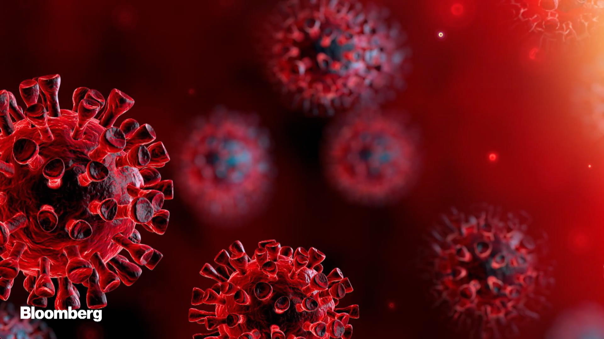 How Sweden Is Fighting Coronavirus Bloomberg