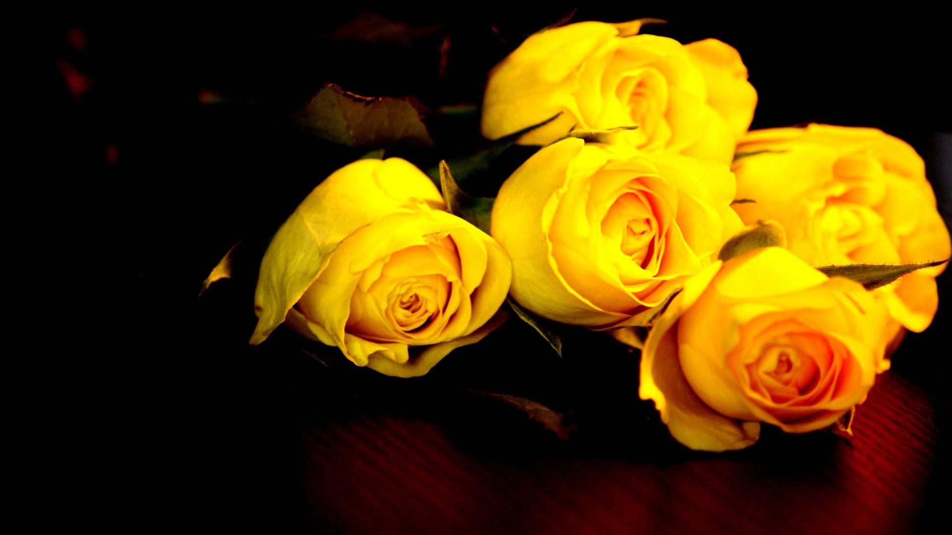 Yellow Roses Background Wallpaper High Definition