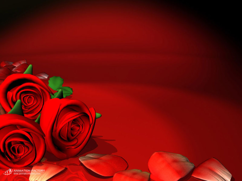 Full Screen Most Romantic Red Roses Wallpaper Background