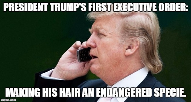 Pin Funny Donald Trump President