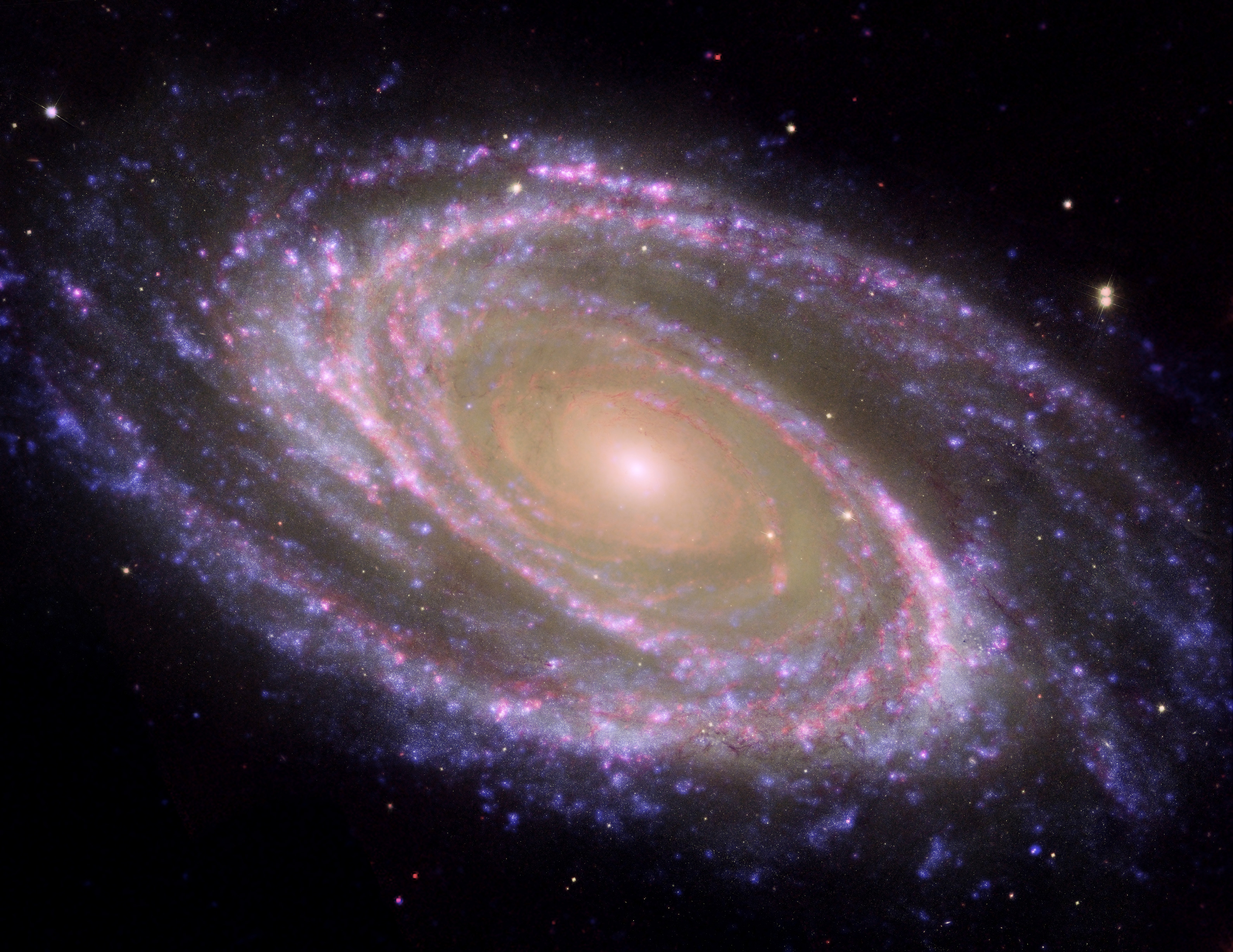 Andromeda Galaxy 3d Guid