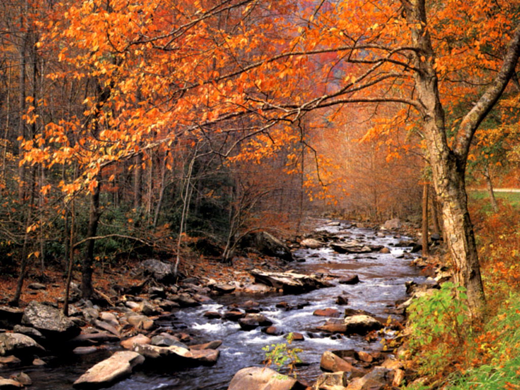 Autumn Wallpaper Desktop HD