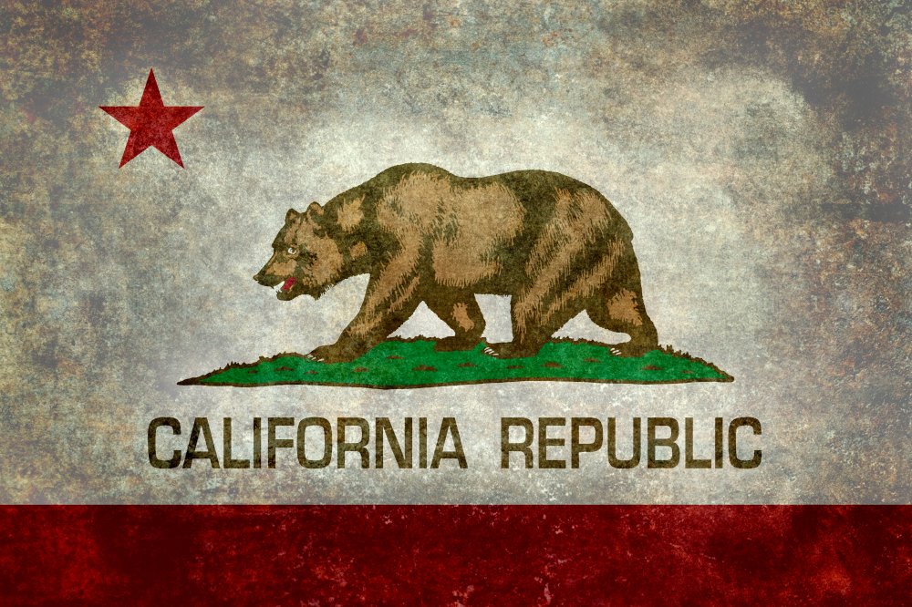State Flag Of California Republic By Bruce Stanfield Art Print