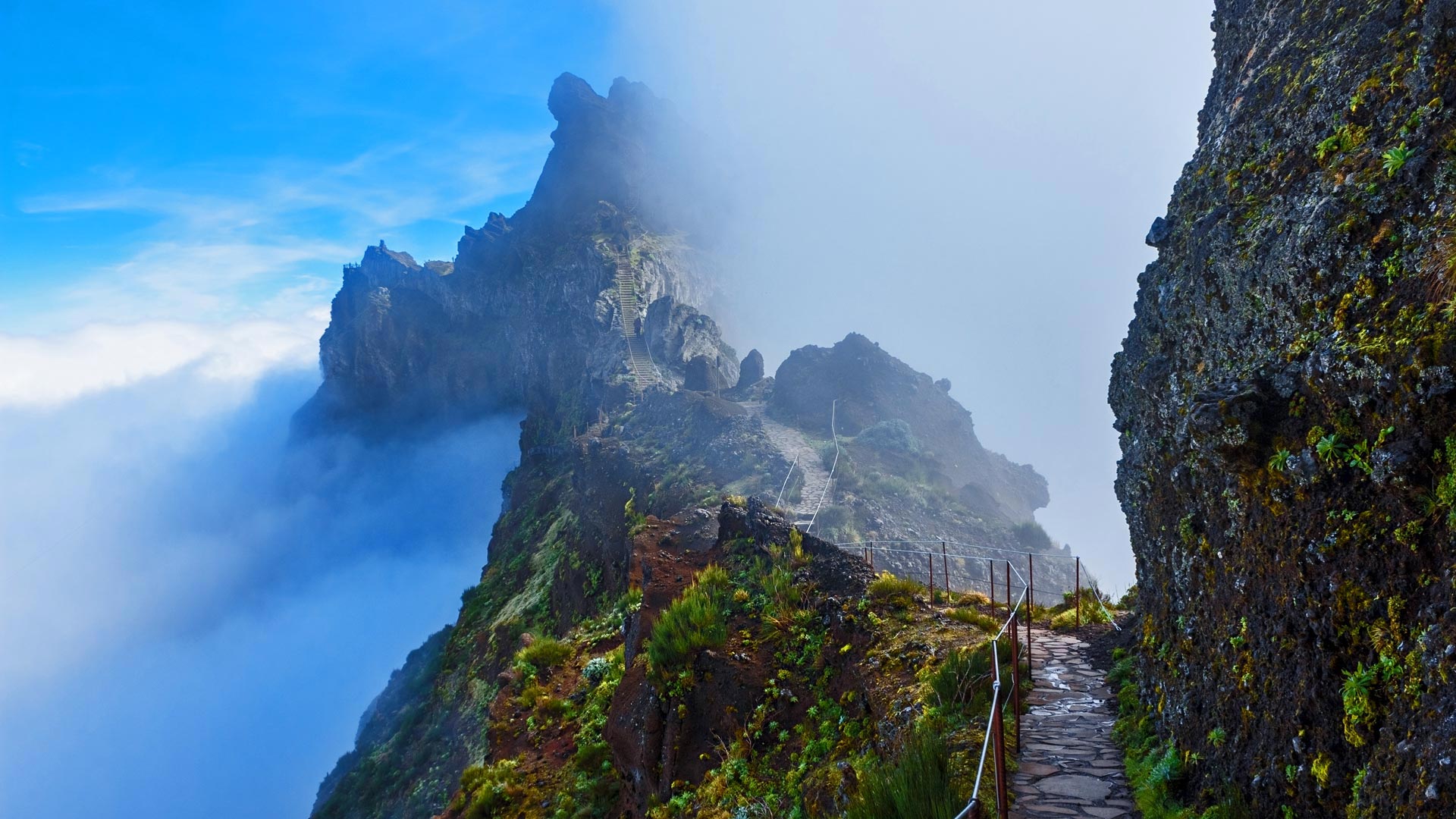 Madeira Trails Bing Wallpaper