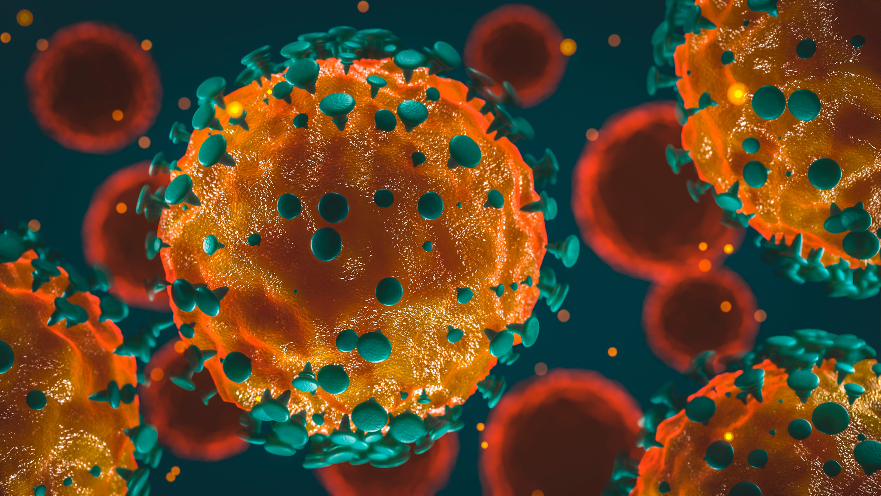 What Is A Coronavirus Wallpaper