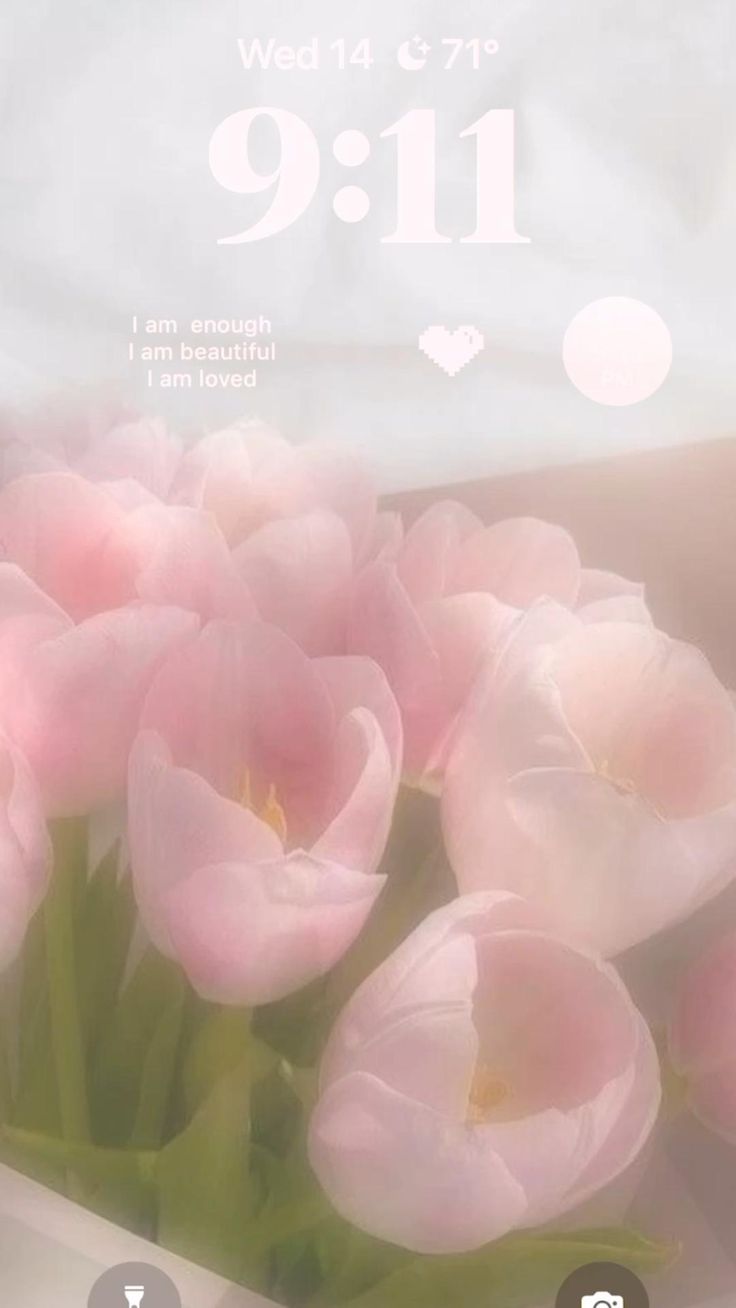 48197fe0dcf04487792eb51d7c3aa610 Wallpaper