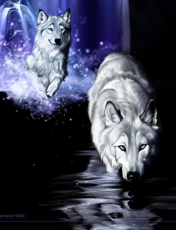 White Wolf Fantasy Wolves Photo