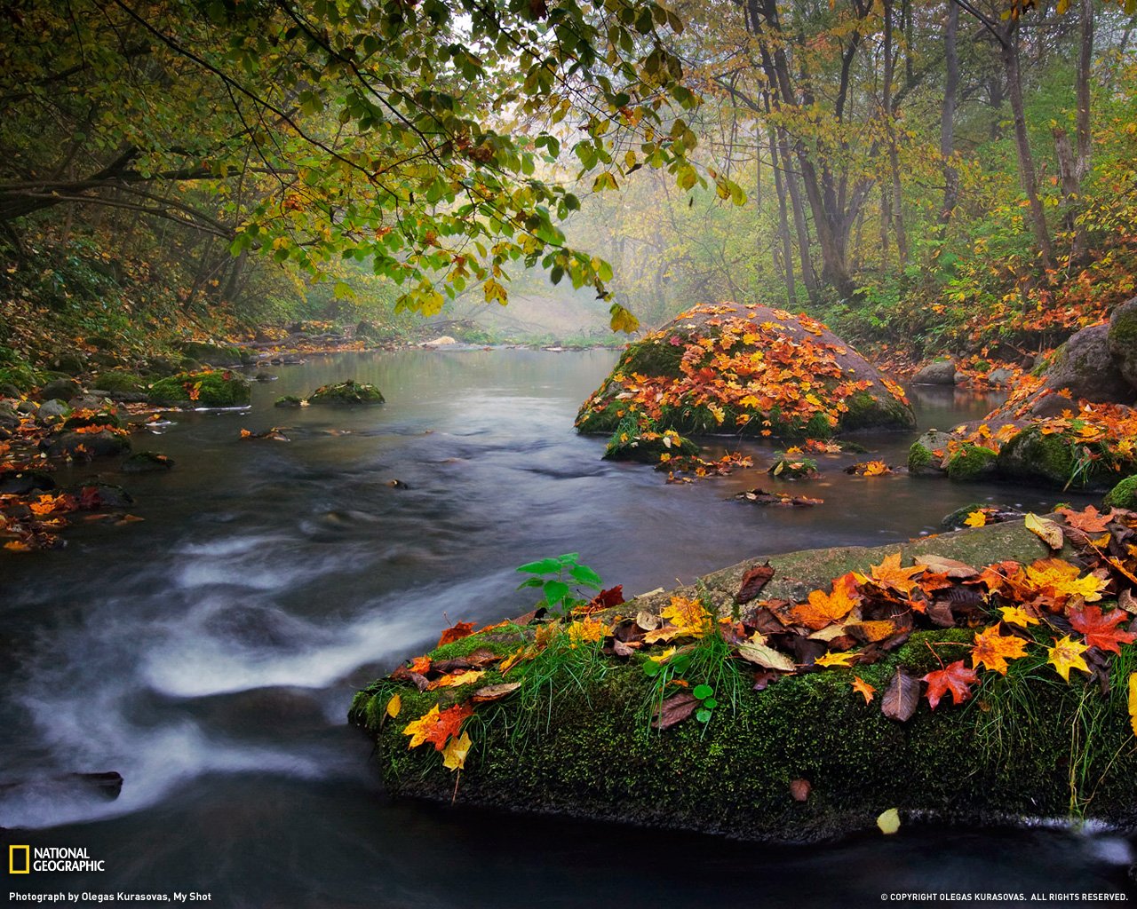  Photo Nature Wallpaper National Geographic Photo of the Day 1280x1024