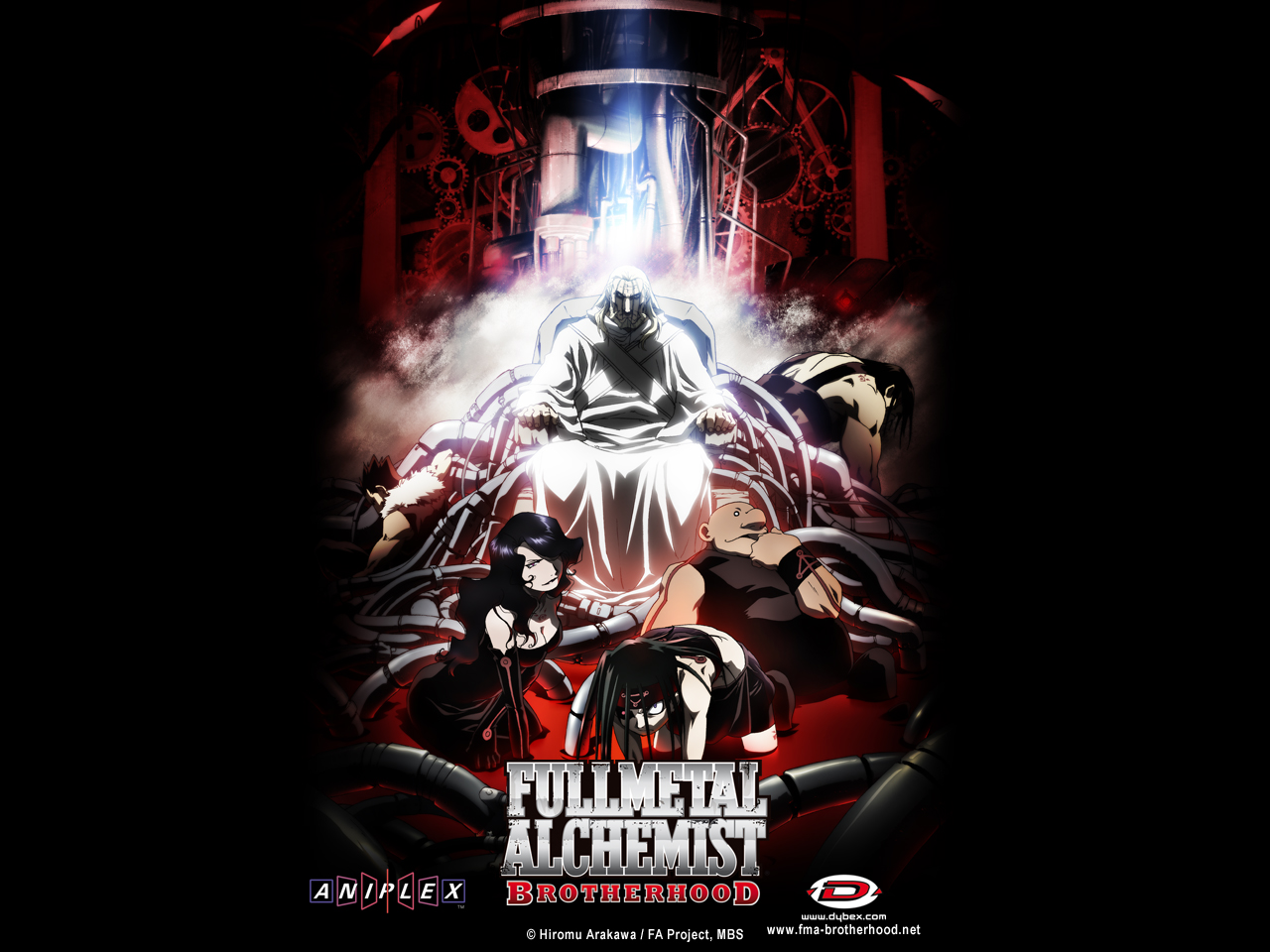 Fullmetal Alchemist Brotherhood Widescreen Wallpaper