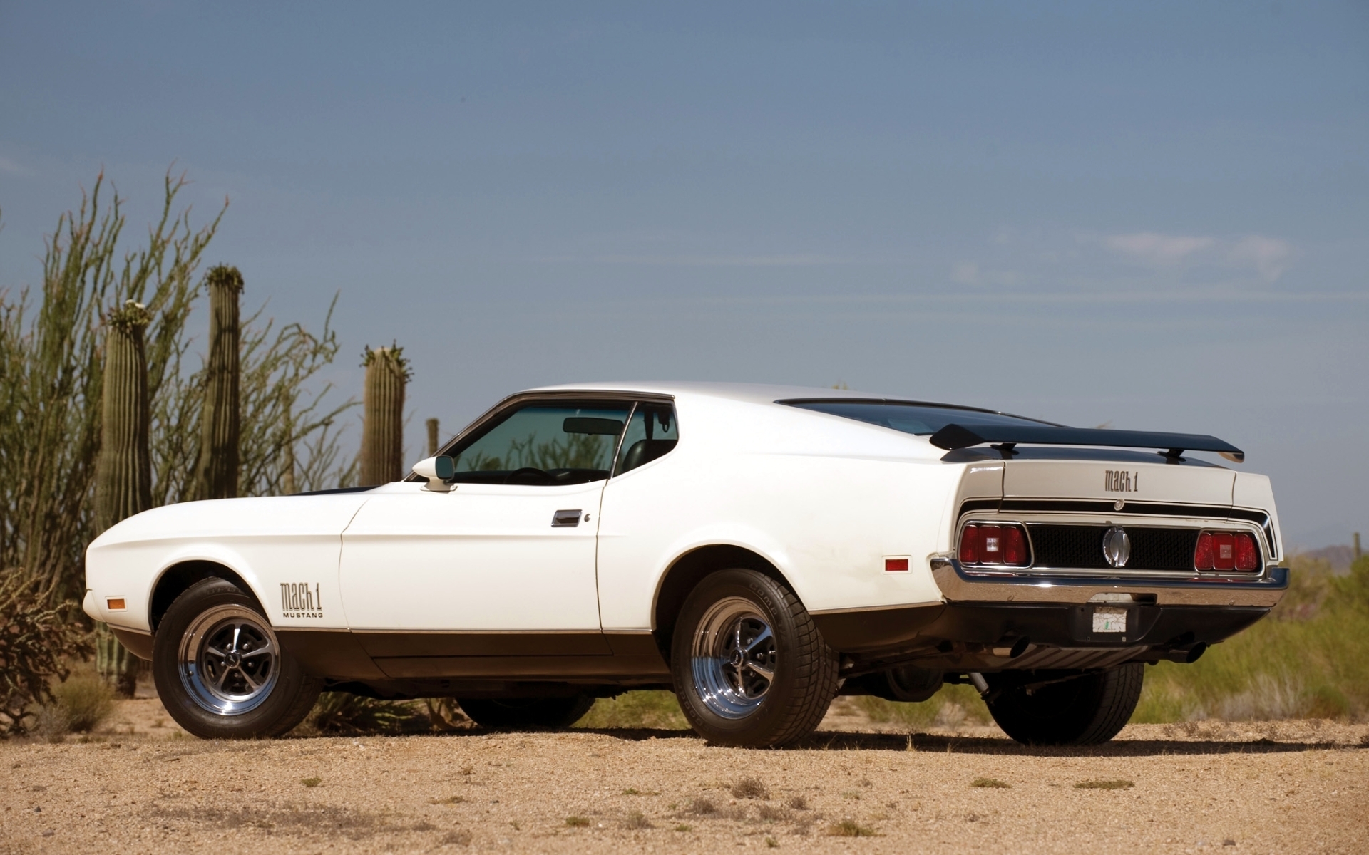 Mustang Mach HD Wallpaper Background Image