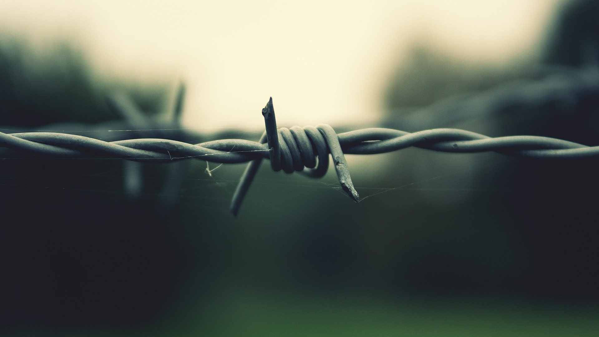 The Barbed Wire Wallpaper iPhone