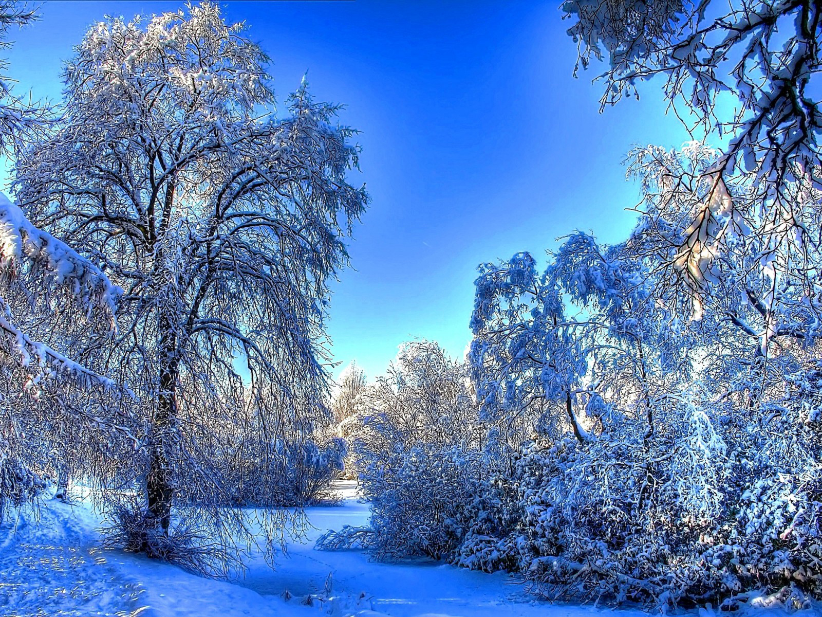 Cute Winter Landscape Wallpaper