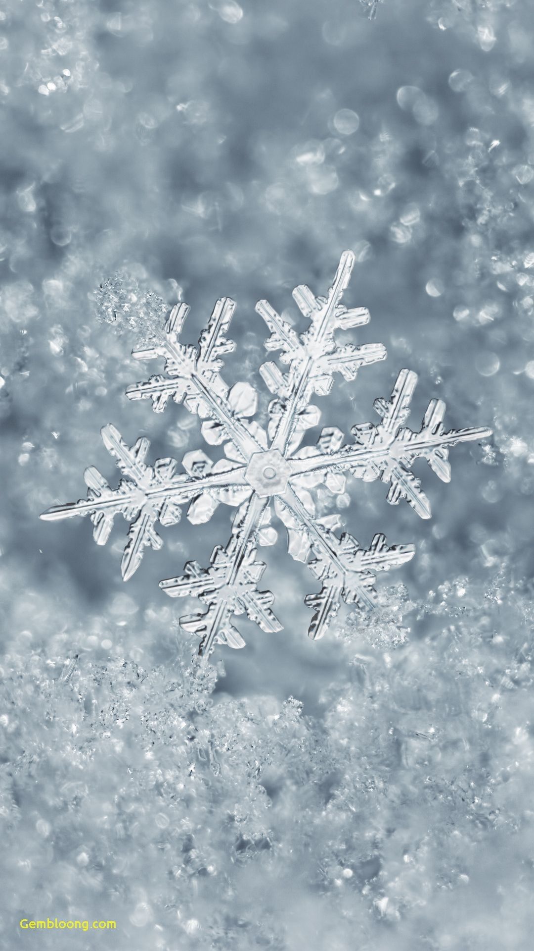 Wallpaper For iPhone Christmas Elegant Ice Snowflake
