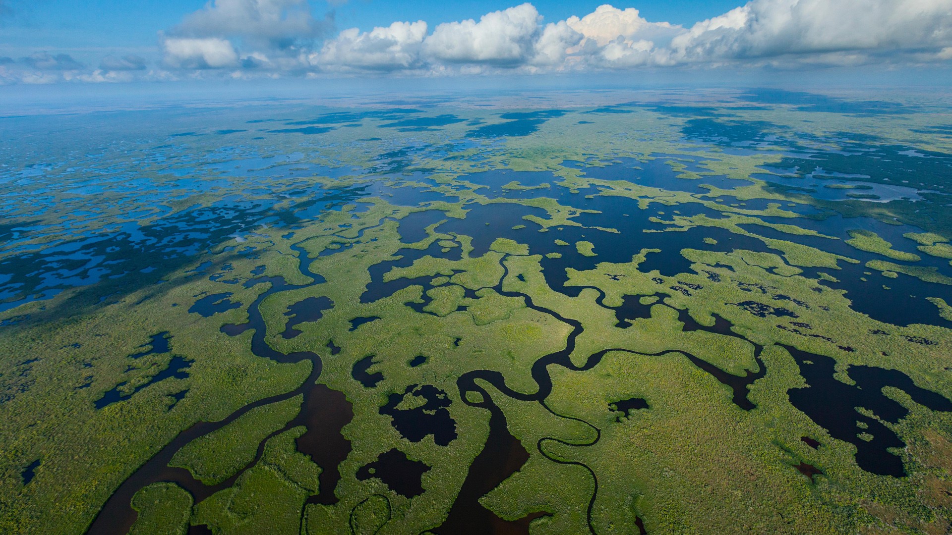 Wetland Aerial In Everglades National Park Florida Usa