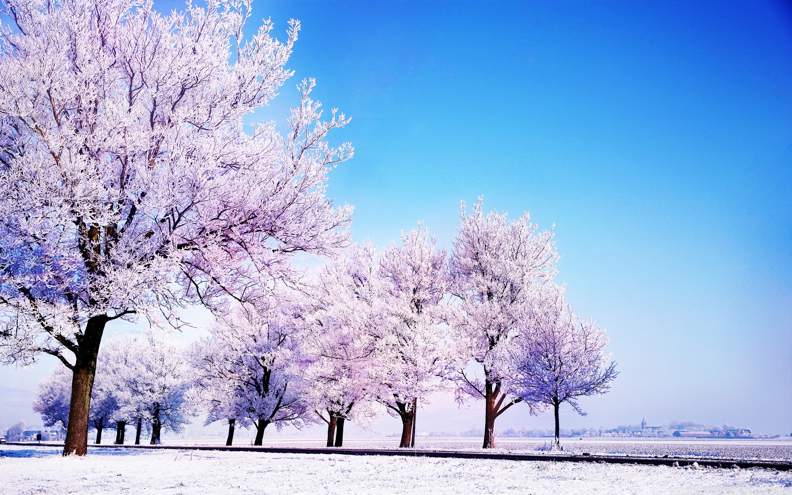 A breathtaking winter landscape with frost-covered trees under a vibrant blue sky