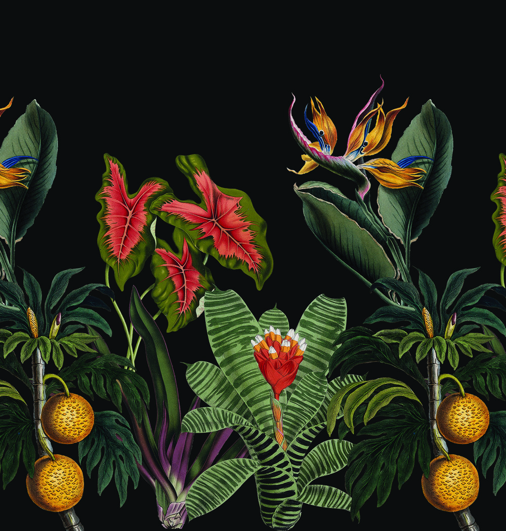 Vintage Botanical wallpaper pattern  Printed Wallpaper Company