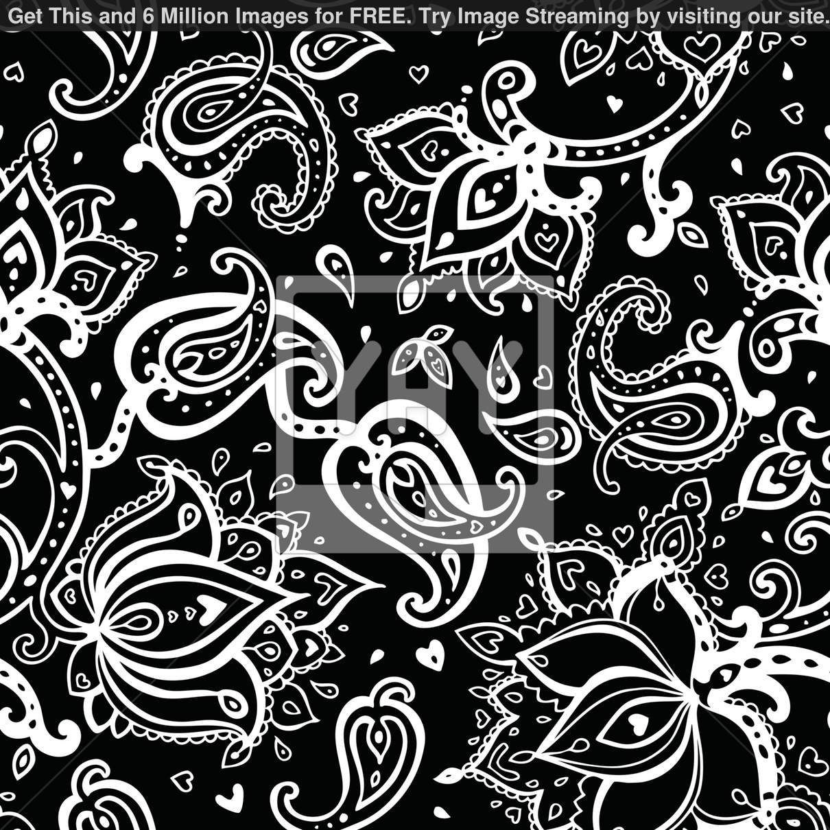 Black And White Paisley