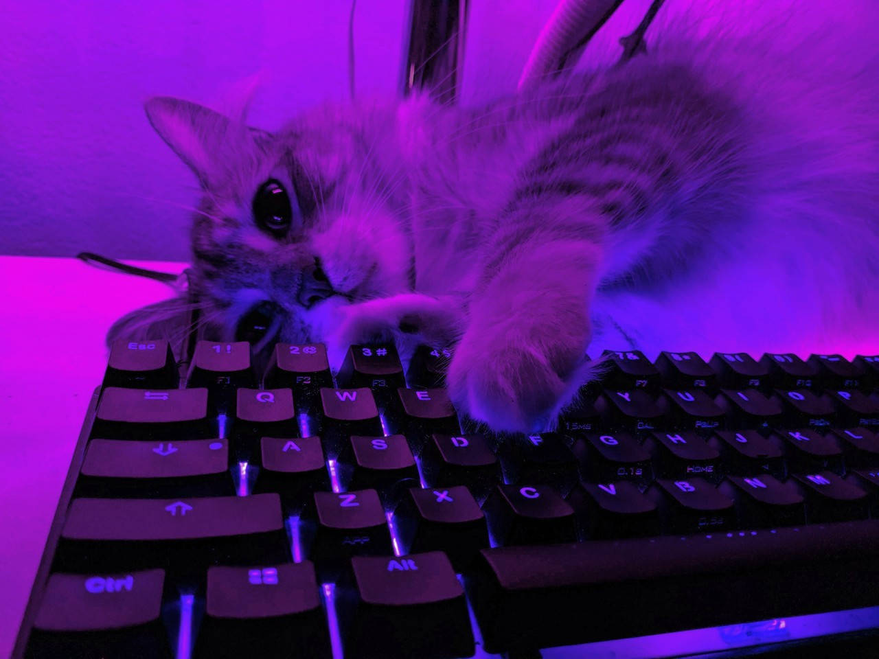 Keyboard Wallpaper