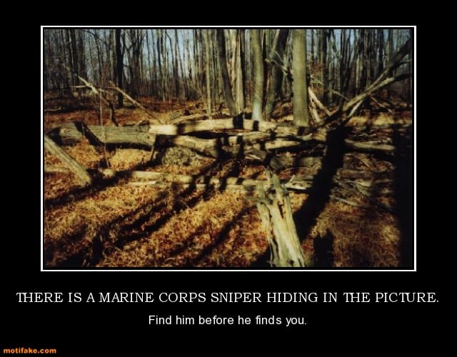 there is a marine corps sniper hiding in the picture marine 640x500