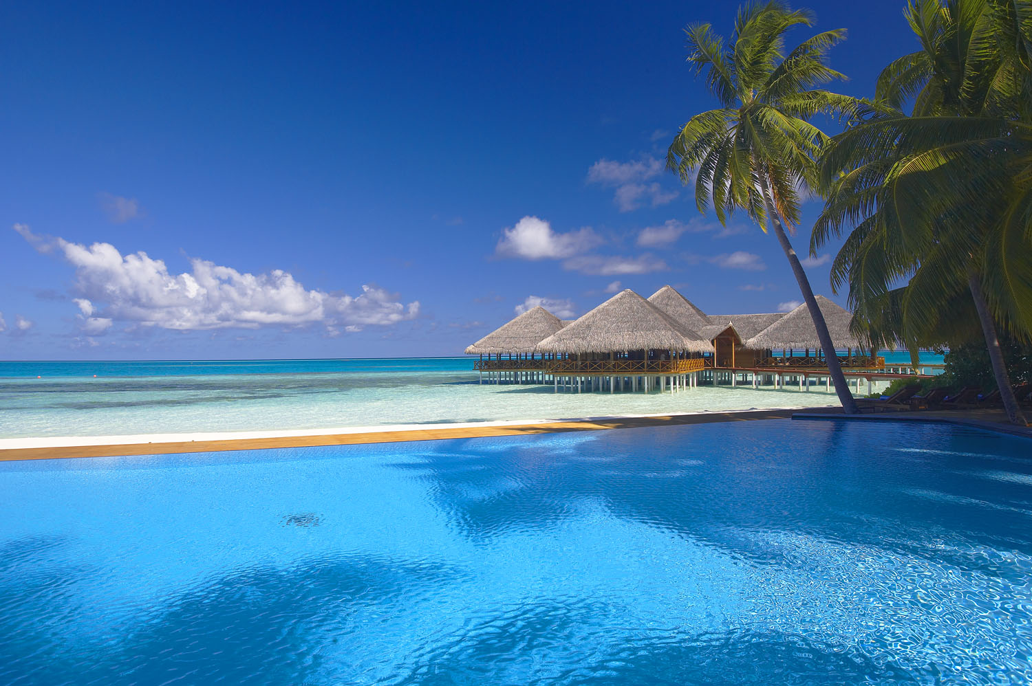  islands maldives sun island beach vacation white sand email this