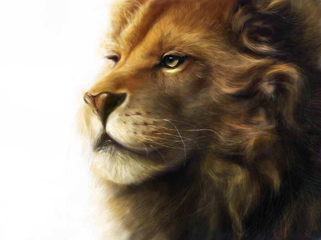 Photos Lions Big Cats Animals Painting Art White Background