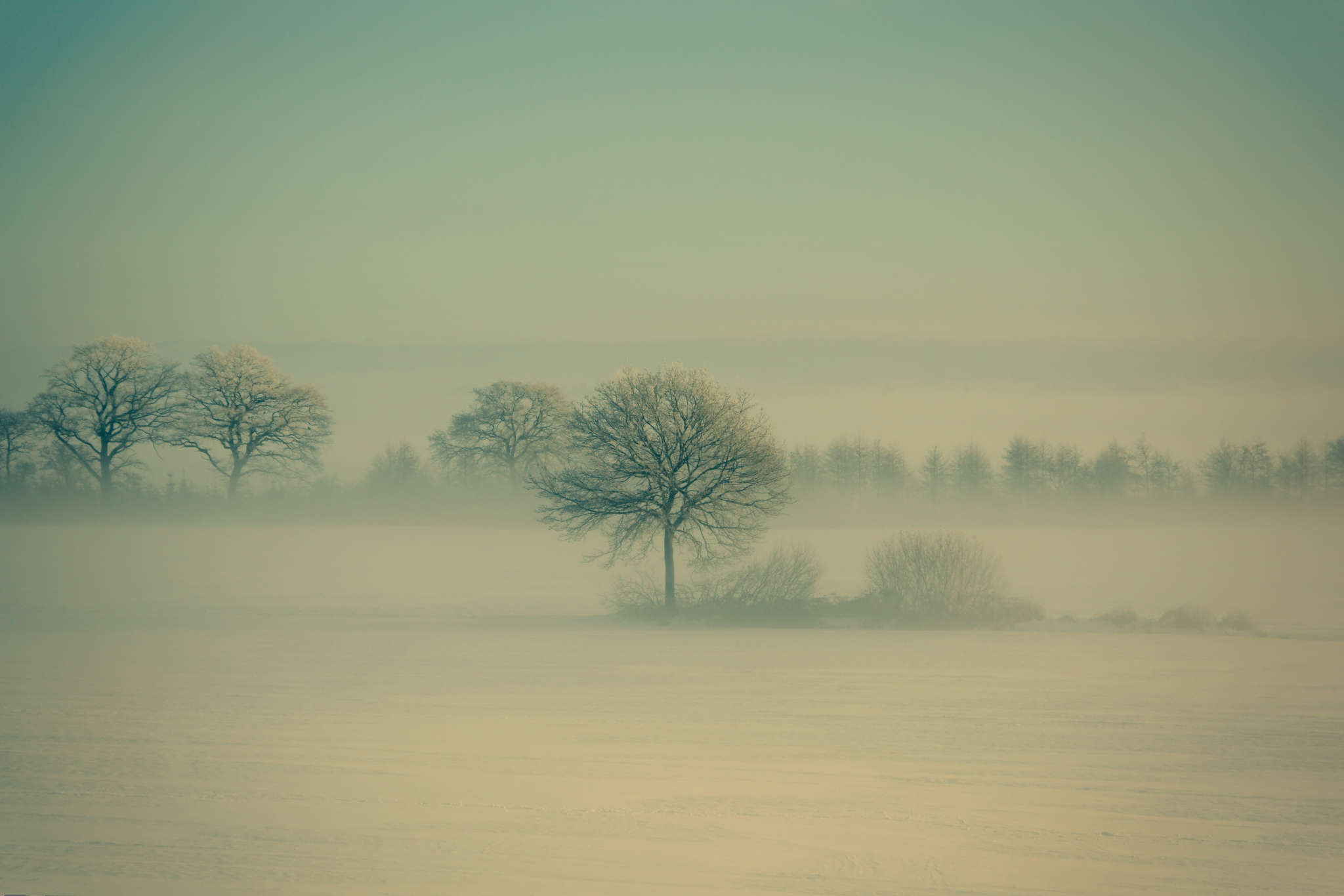 Ubuntu Winning Wallpaper Revealed Omg