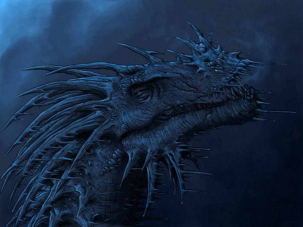 Blue Dragon Head Dragons Wallpaper