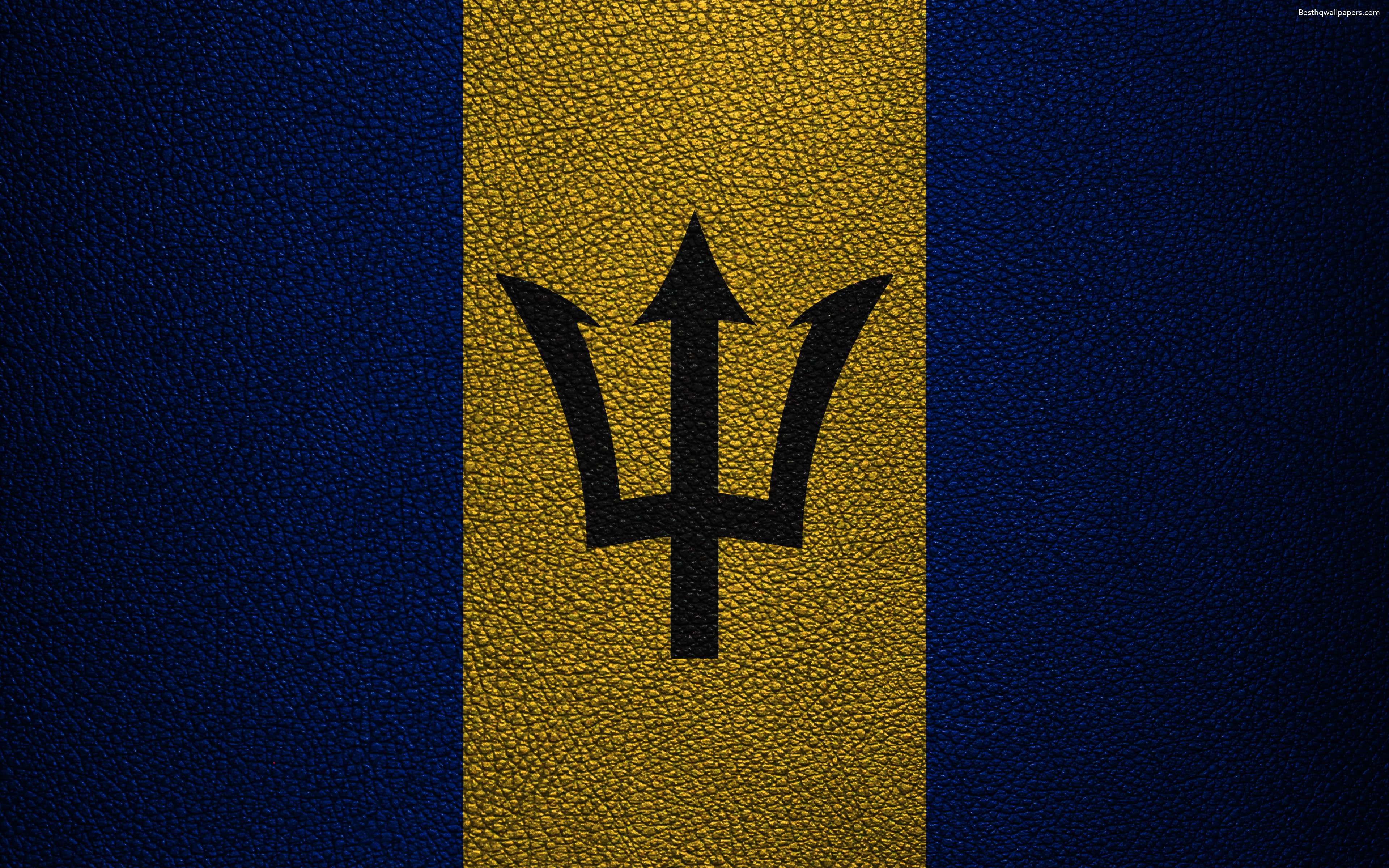 Wallpaper Flag Of Barbados 4k Leather Texture North