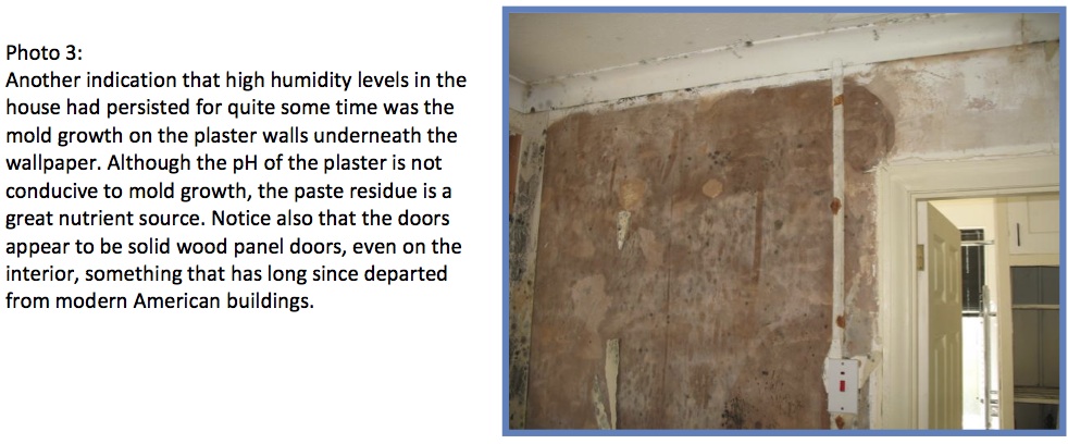 Remediating Mold From Painted Surfaces Surviving