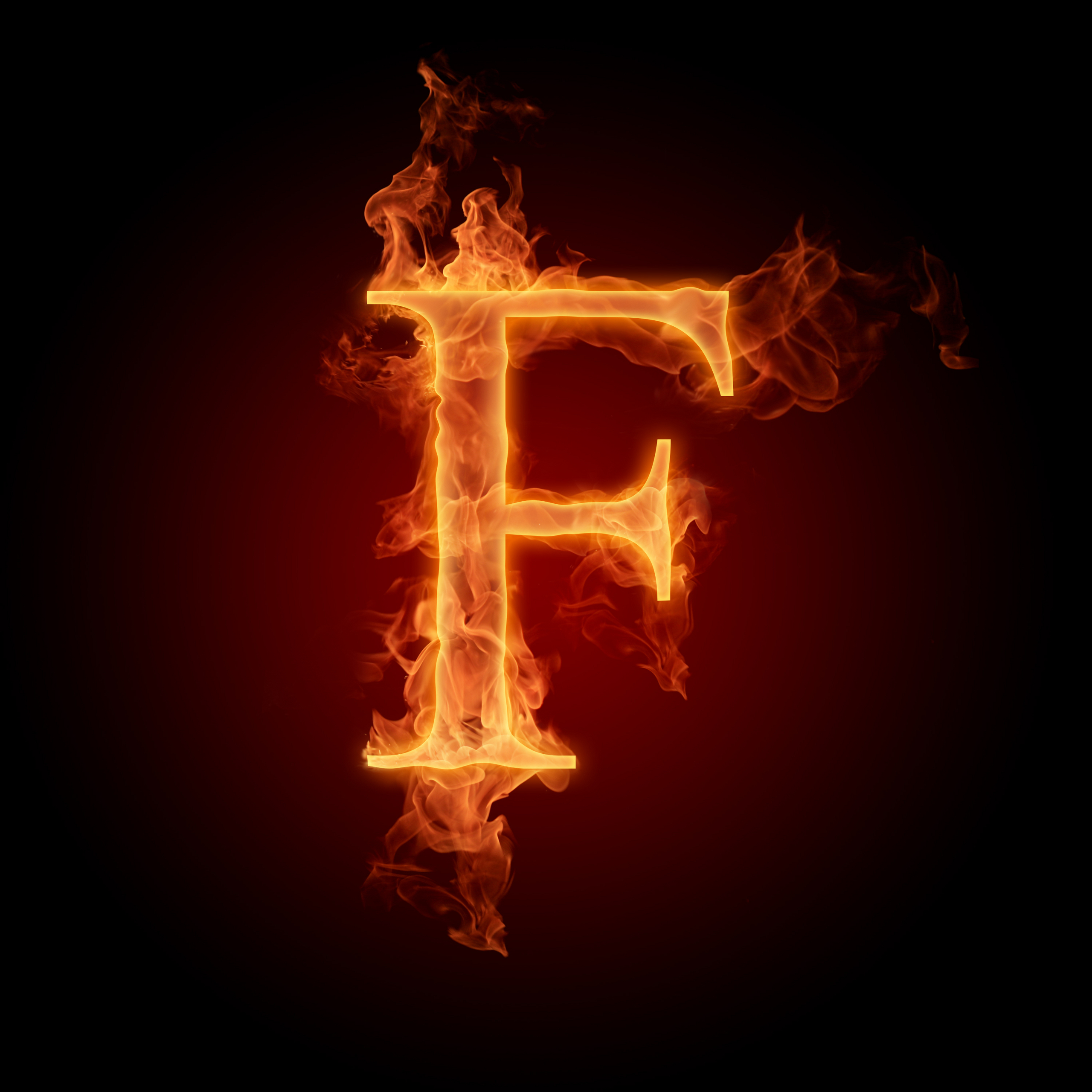 The Letter F Photo