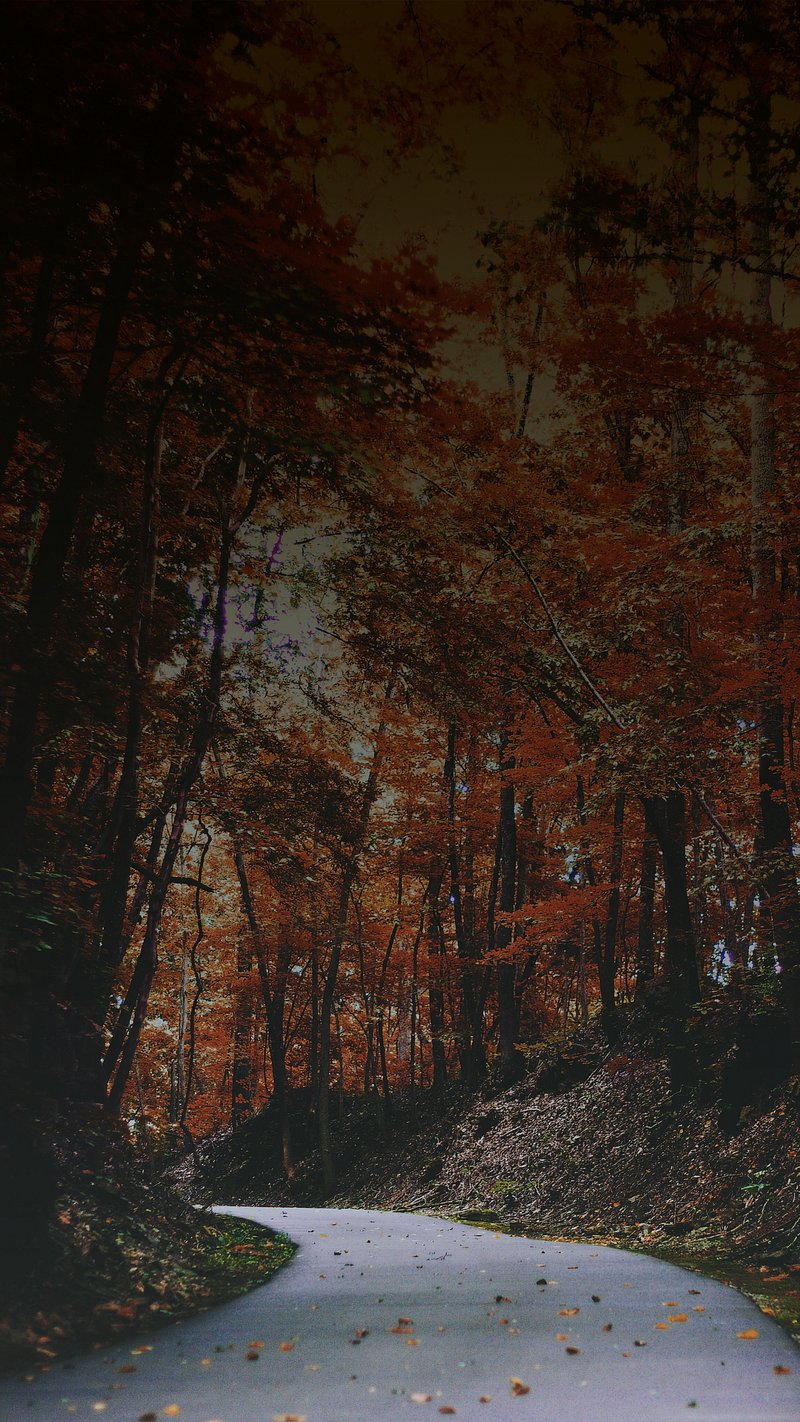 iPhone Wallpaper Dark
