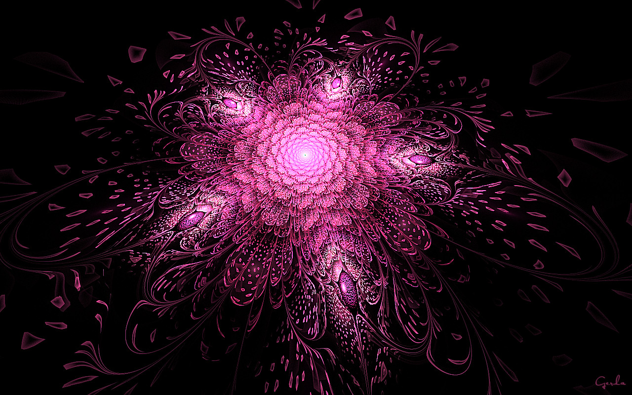 Bright Pink Fractal Flower Vimeo Cover Image