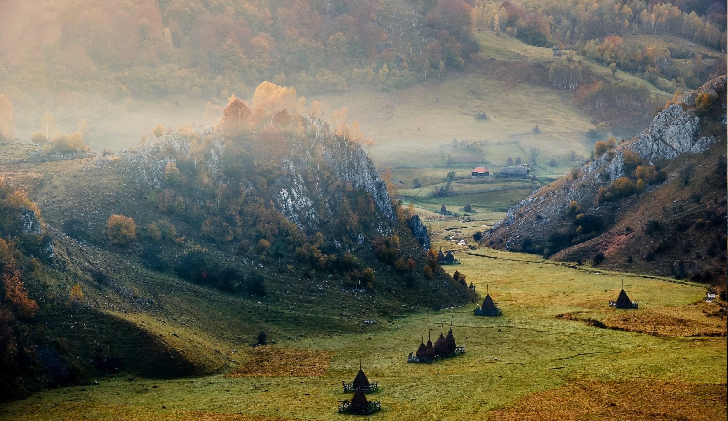 Sunrise Mountain Valley Romania Cliff Mist Field Forest Wallpaper