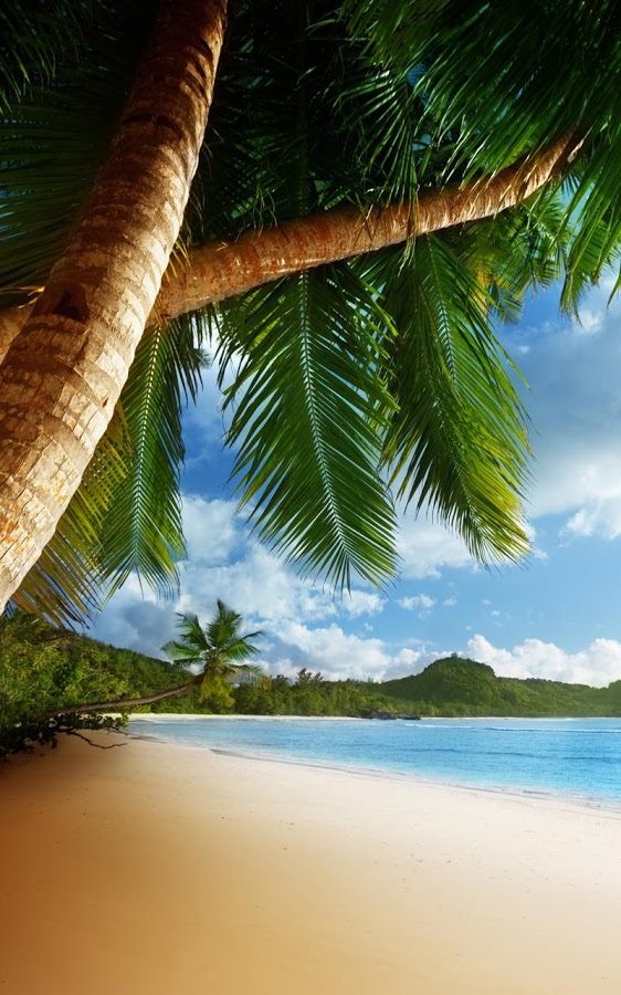 Tropical Beach Live Wallpaper Android Apps On Google Play