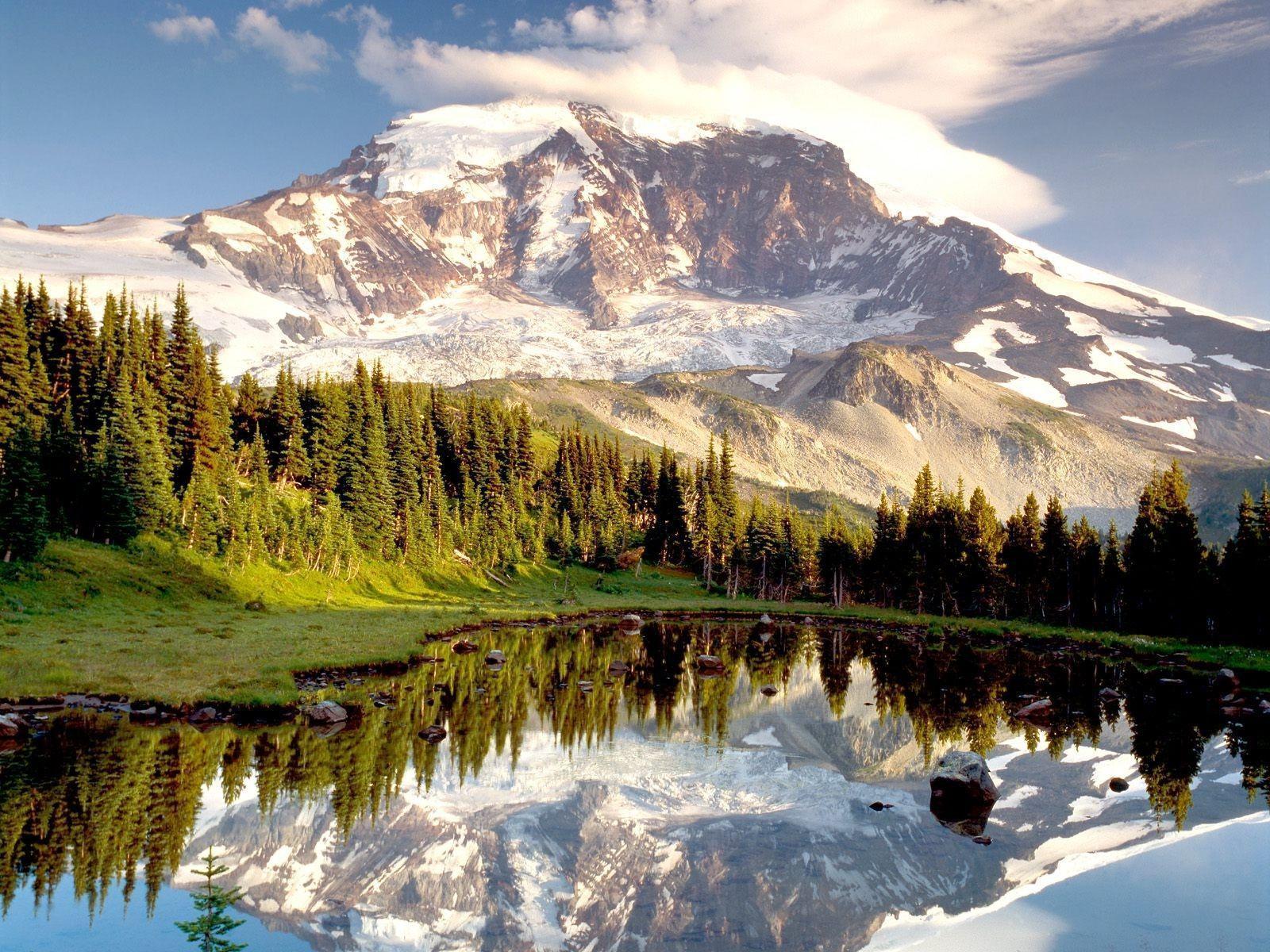 Mount Rainier National Park Wallpaper