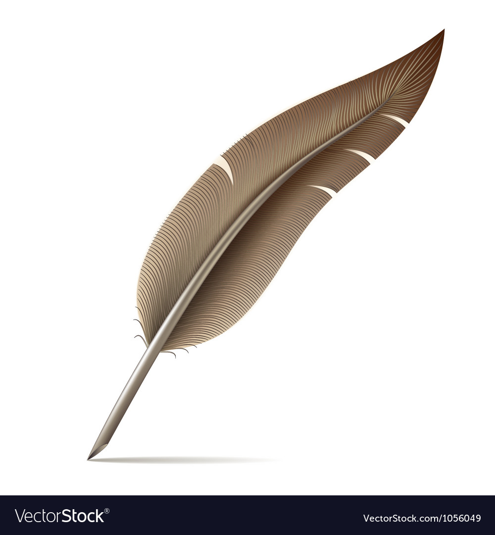 Image Of Feather Pen On White Background Vector