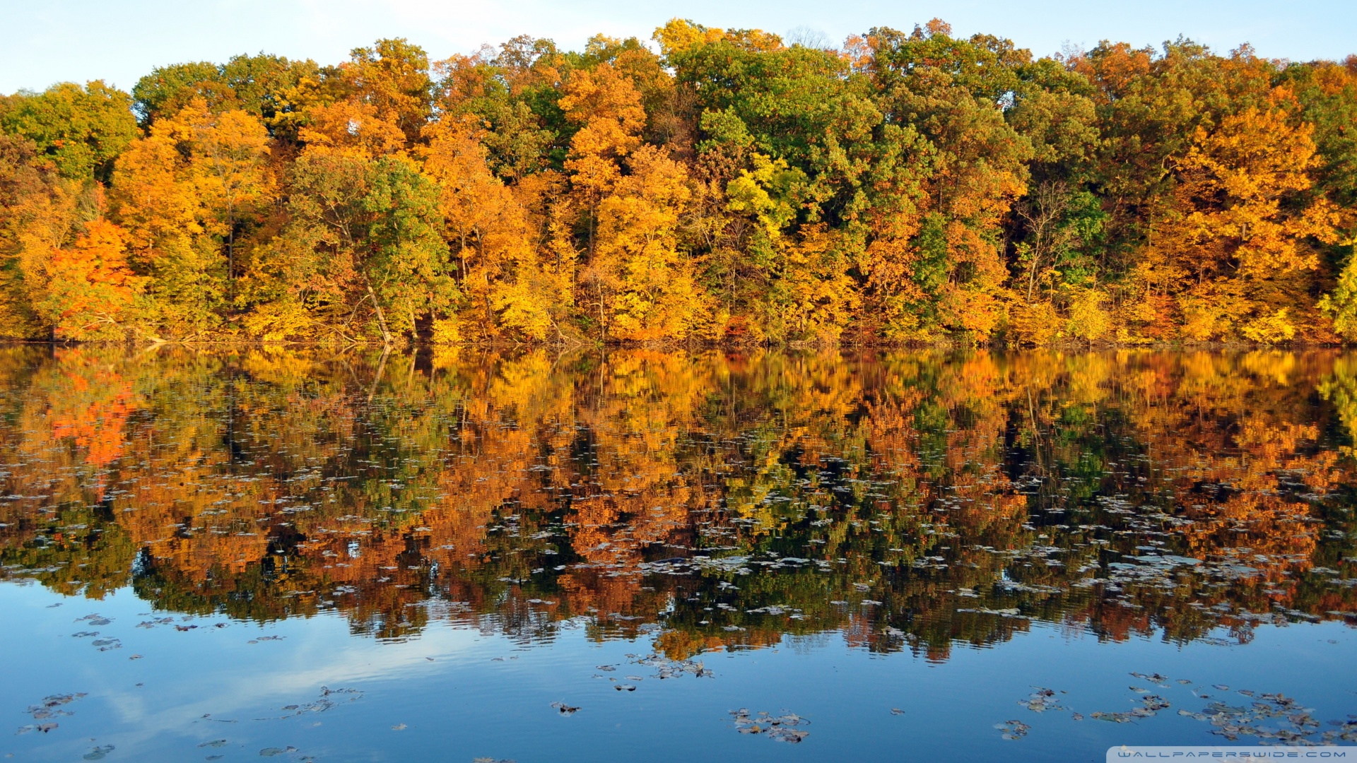 Beautiful Reflection Autumn Wallpaper