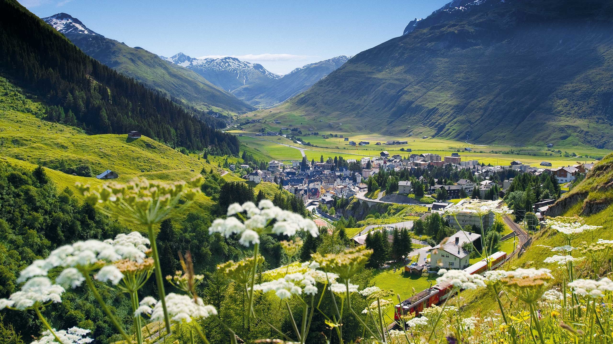 Swiss Alps Wallpaper