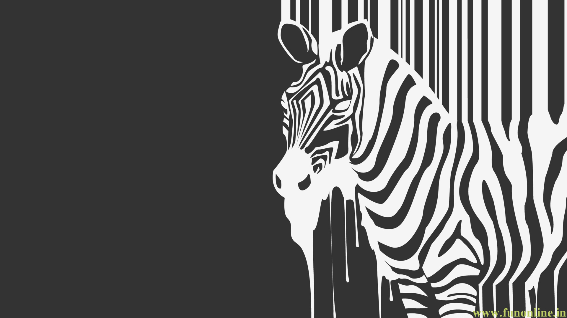 Zebra Wallpaper Black And White HD
