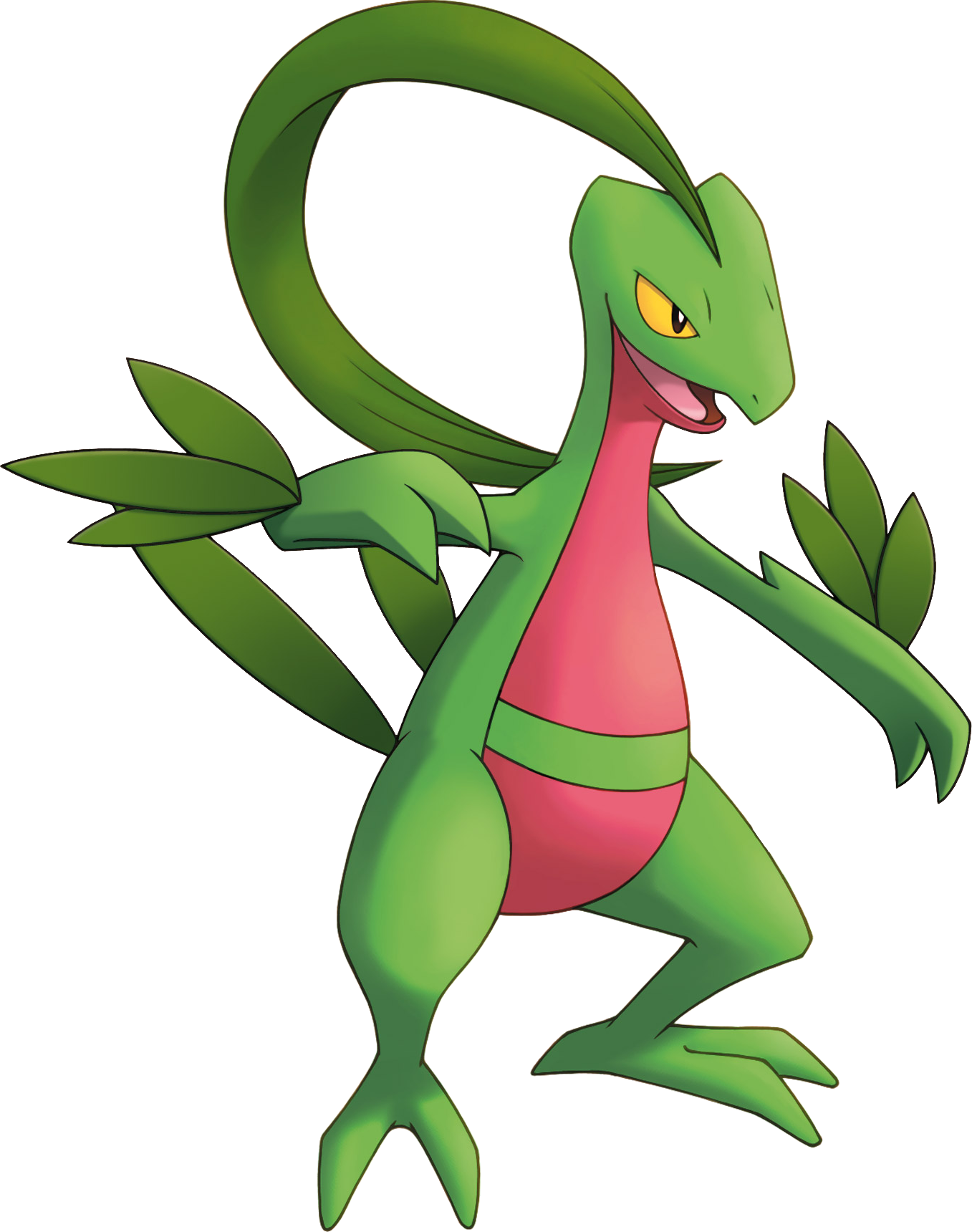 Grovyle Mystery Dungeon Pok Mon Powered By Wikia