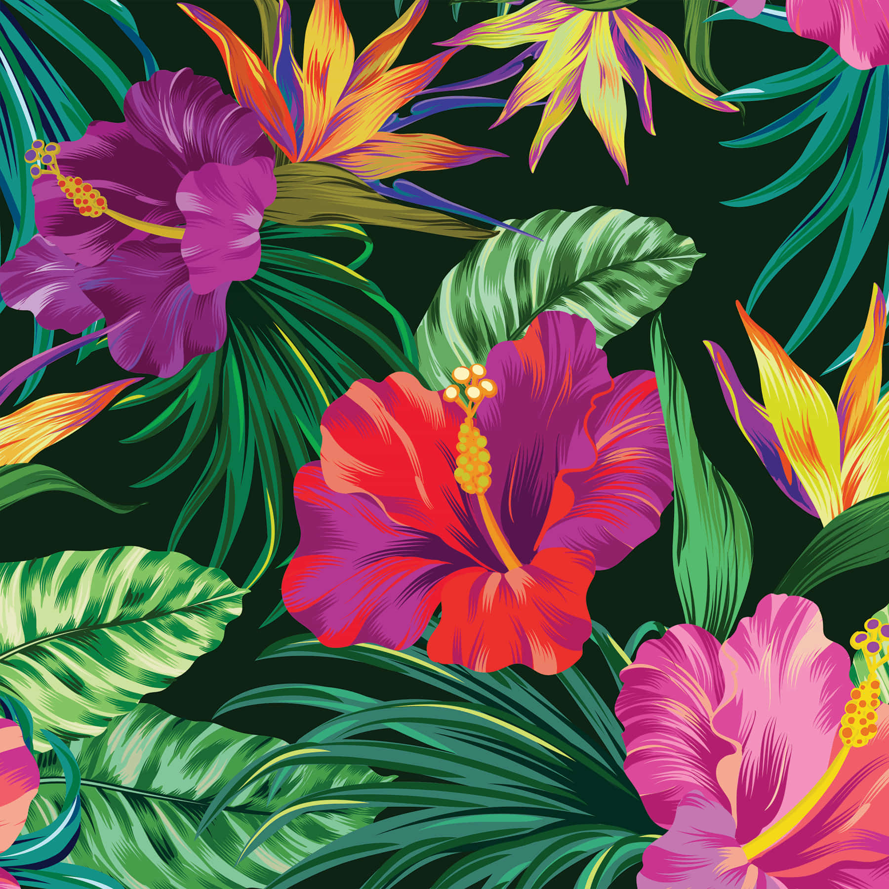 Cool Artwork Of Hibiscus Flower Jvn3gsc1hwi0ovzt Wallpaper