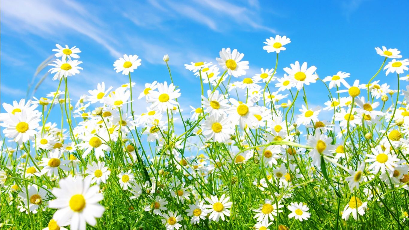 Spring Screensavers And Wallpaper Best