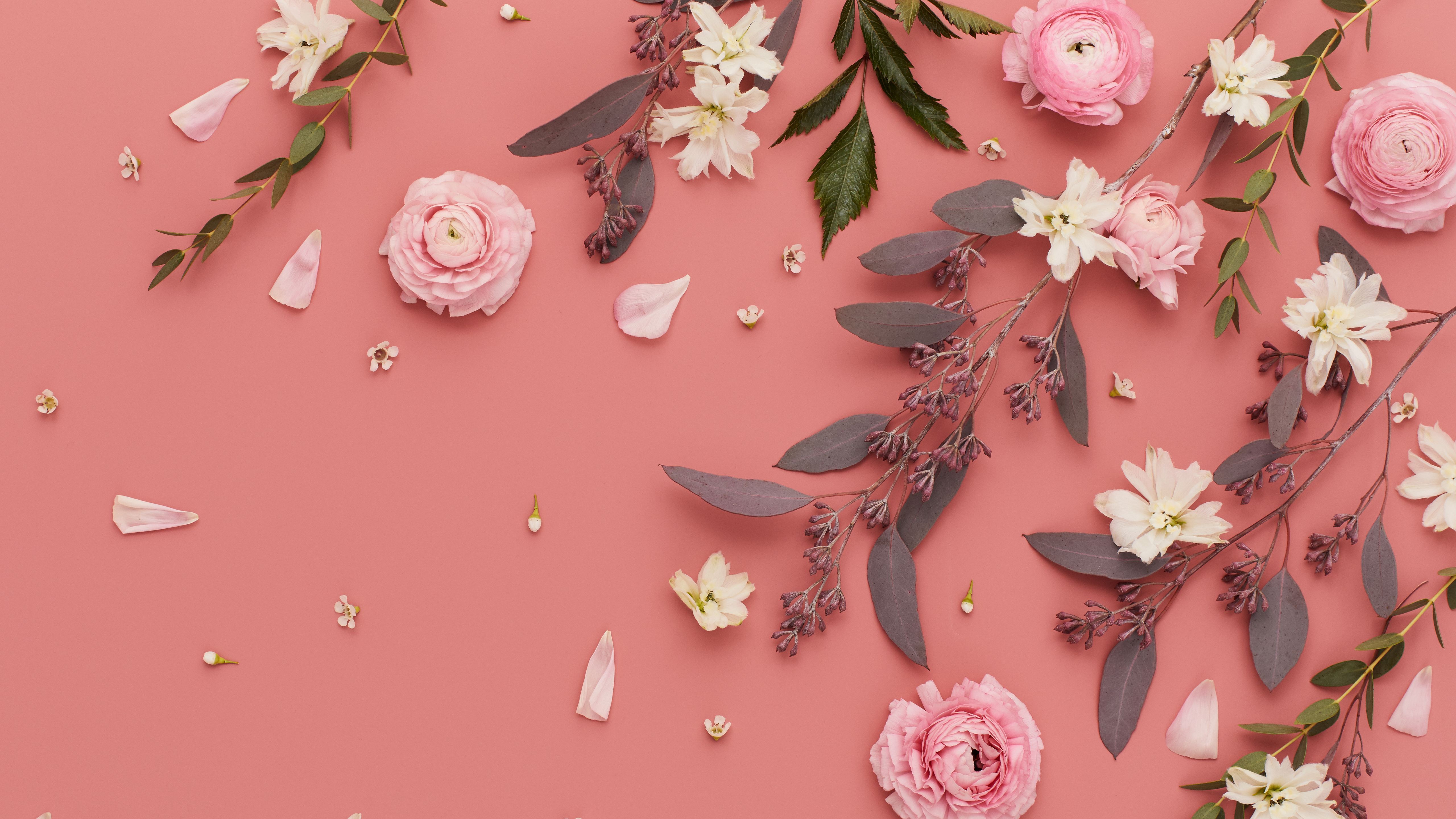 Pink Flower Desktop Wallpaper On