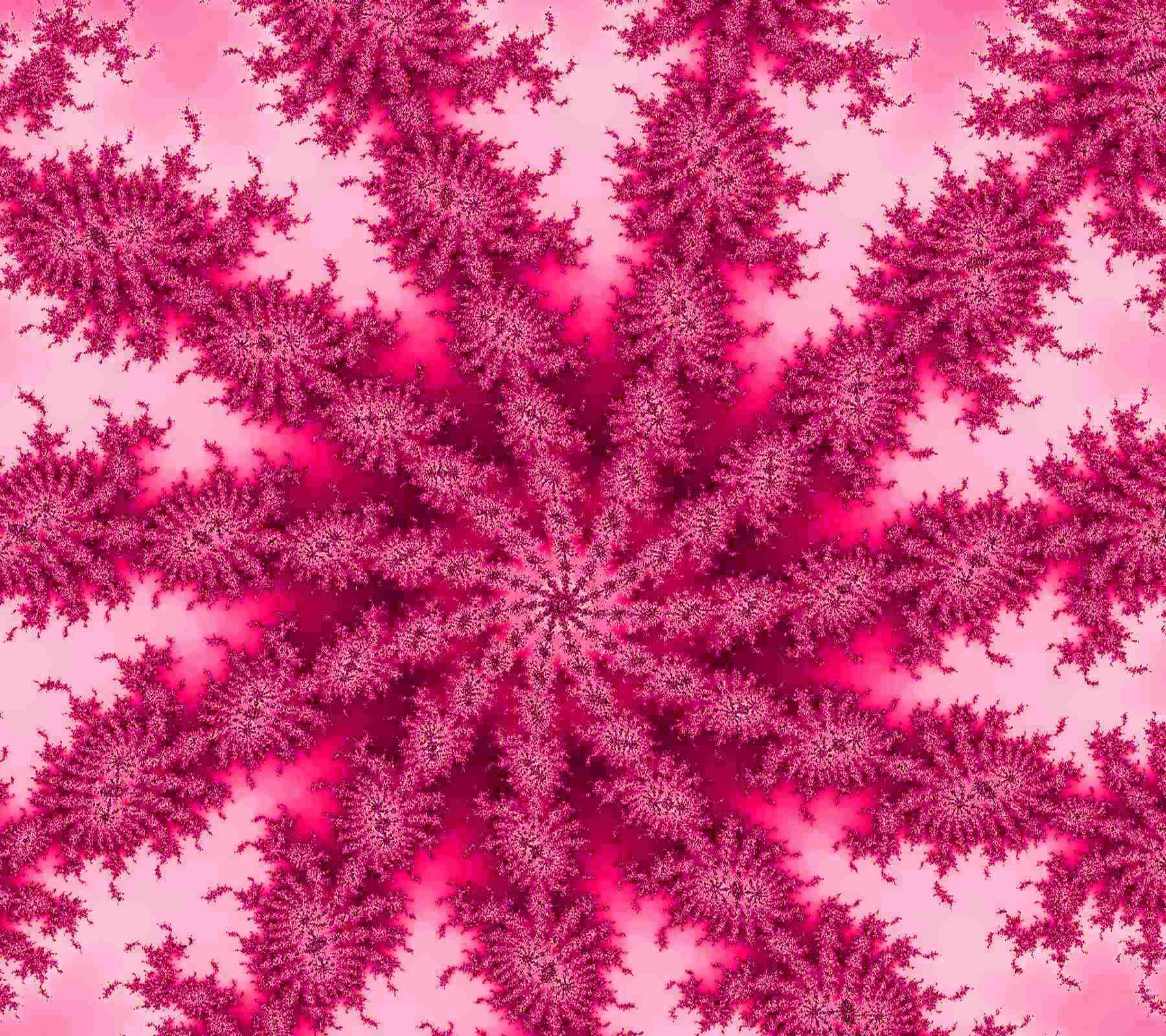 Background Wallpaper Image Hot Pink Starburst Fractal