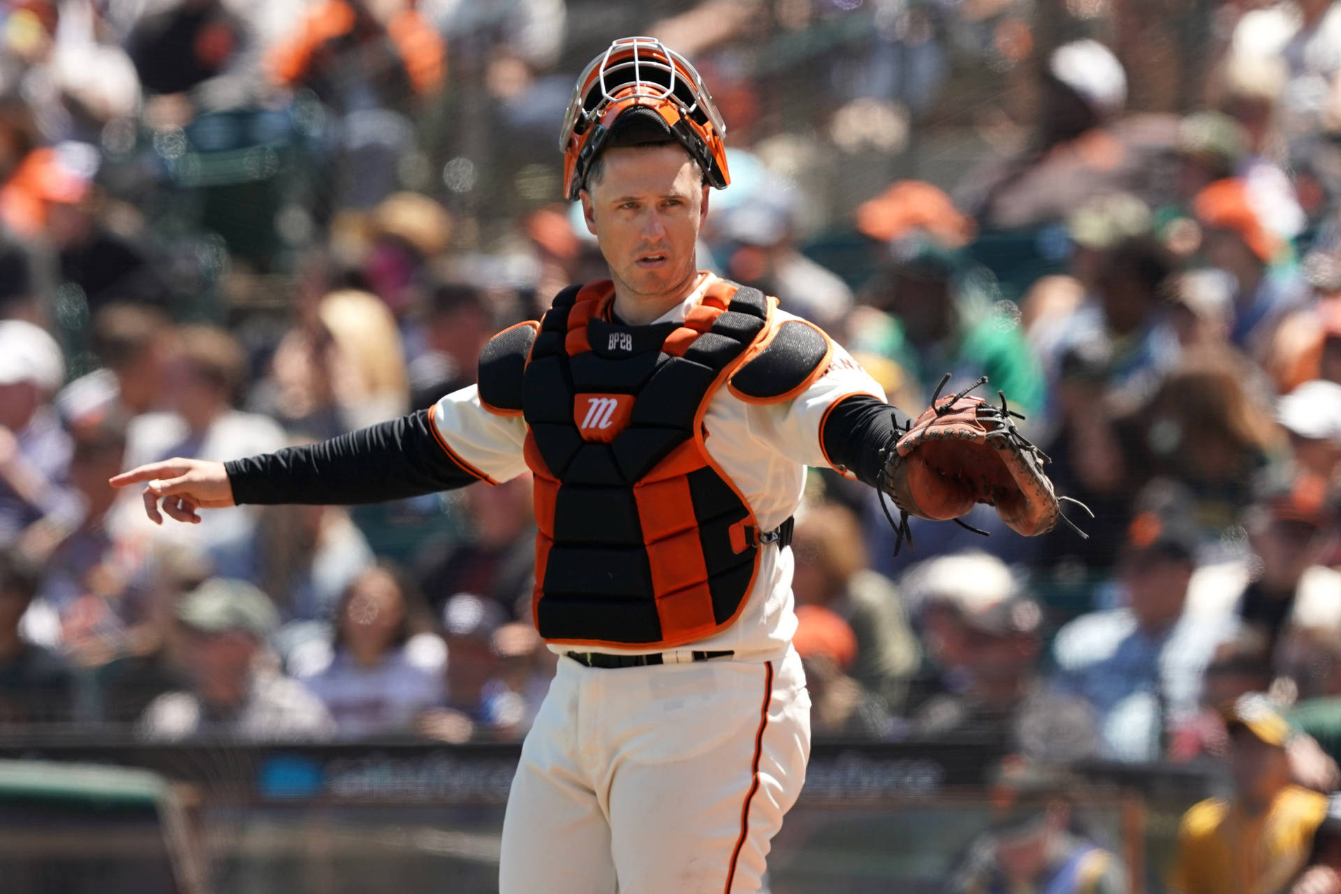 Posey Wallpaper