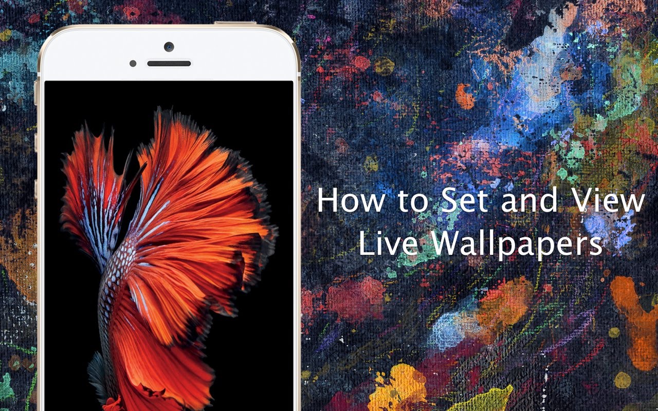 How To Set Live Wallpaper On iPhone 6s And Plus
