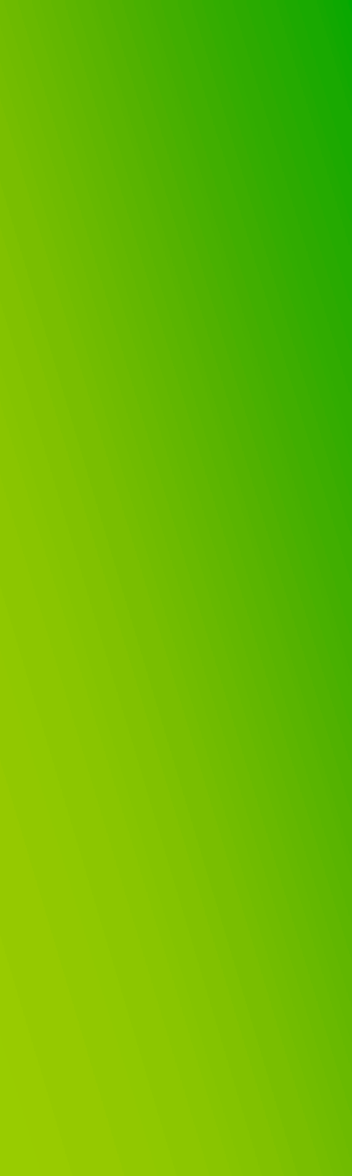 Plain Green Wallpaper Desktop Background