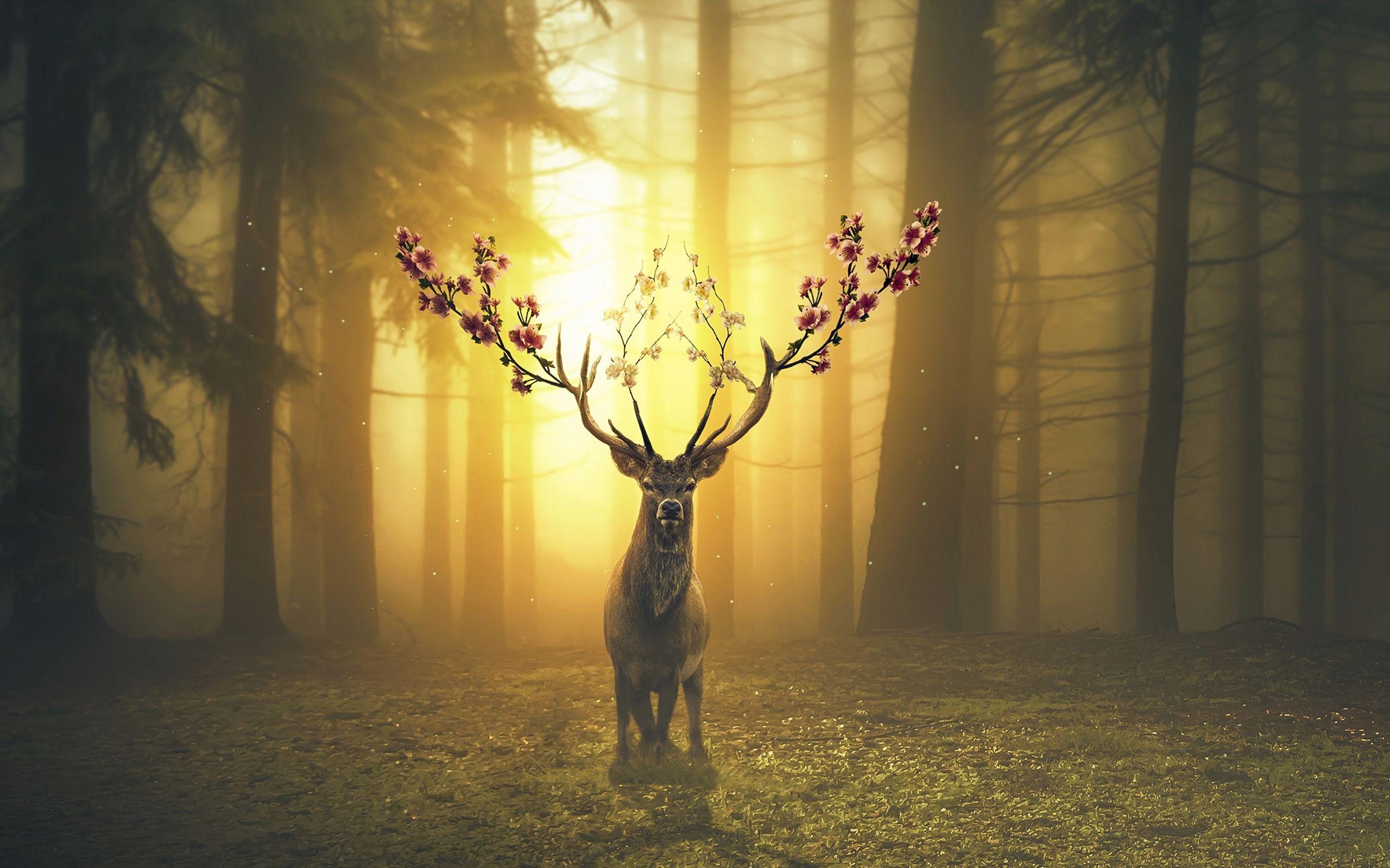 Deer Forest Spring Wallpaper Poster