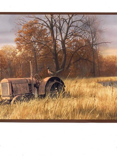 Free Download Wallpaper Border 10 20 Tractor Farmall International